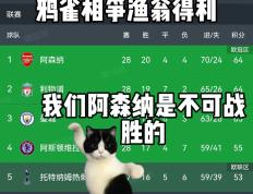 IM体育数据分析平台-阿森纳连续6场保持不败，战绩亮眼观众们掌声不断的简单介绍