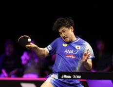 IM体育App下载-德国乒乓球队横扫中国乒乓球队，张本智和高光表现的简单介绍