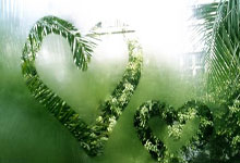 IM体育在线注册-极速与绿茵，当F1争冠战火遇上凯尔特人的末节风暴