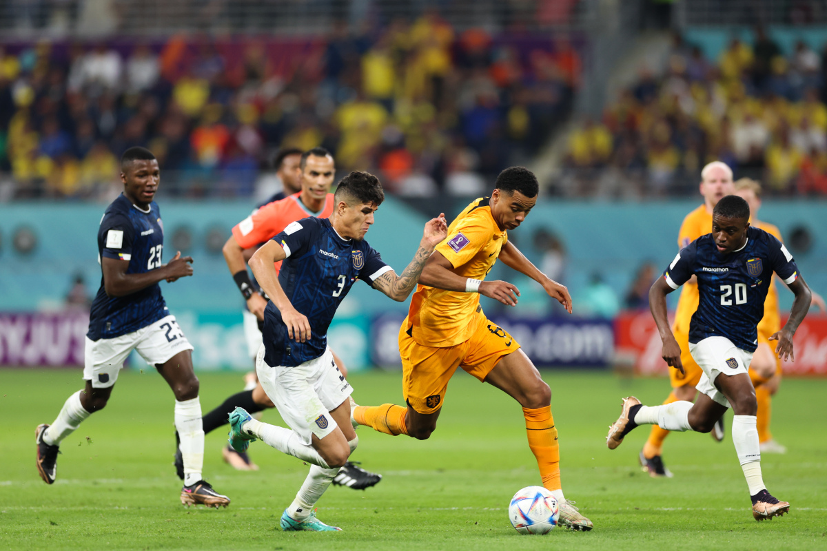 IM体育赛事直播入口-荷兰备战，球队期待再创佳绩的简单介绍