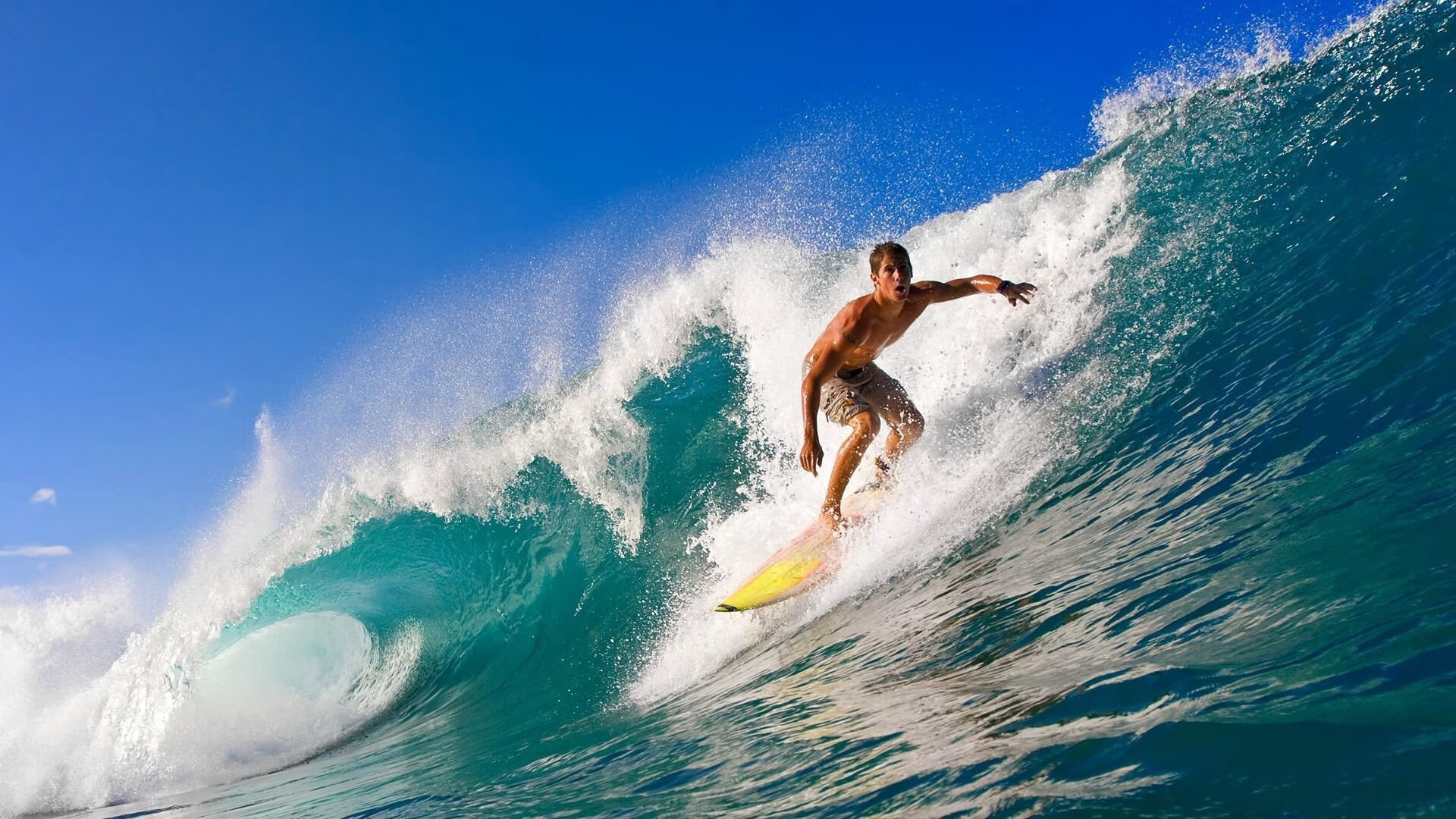 IM Sport-福克斯一锤定音!德甲争冠夜,无名英雄的封神时刻