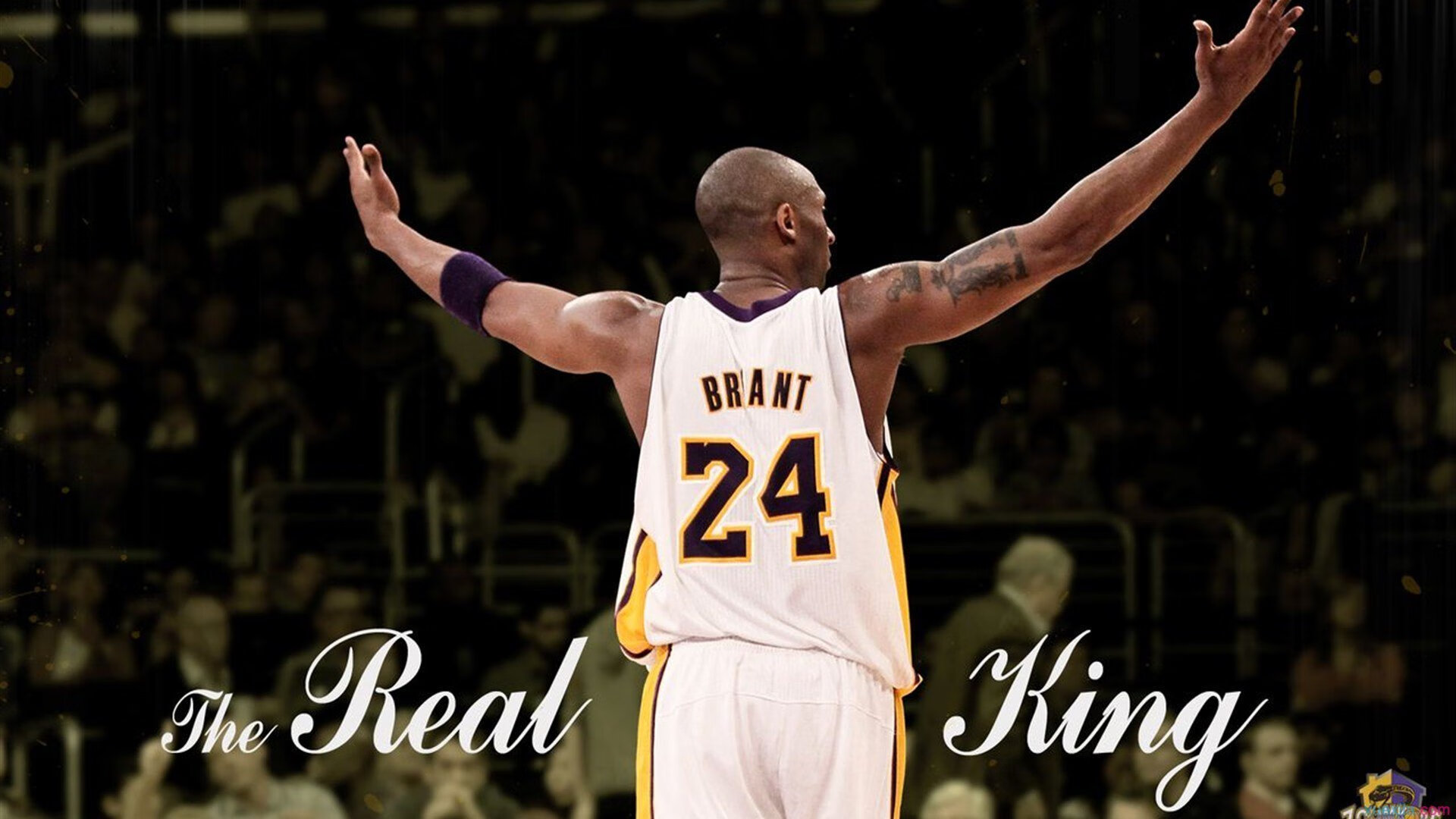 IM体育平台-当太阳打穿山西队，文班亚马如何在抢七夜化身宇宙中心